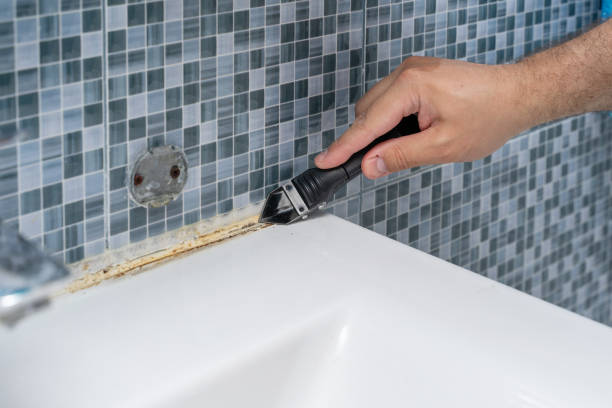 Best Commercial Mold Remediation in Winnsboro Mills, SC